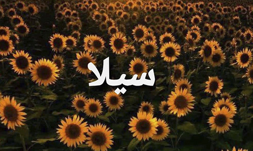 معنى اسم سيلا