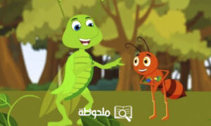 قصة النملة والصرصور