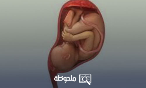 شكل البطن عند نزول رأس الجنين في الحوض
