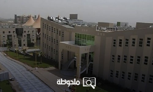تخصصات جامعة جدة